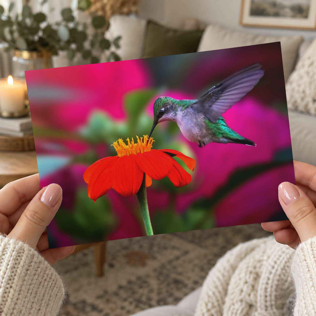 Ruby Throated Hummingbird, Mexican Sunflower Photographic Art Print (7 Sizes)