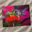 Ruby Throated Hummingbird, Mexican Sunflower Photographic Art Print (7 Sizes)