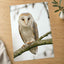 Barn Owl in Netherlands Photo Wall Art (7 Sizes) - Satin Luster