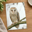 Barn Owl in Netherlands Photo Wall Art (7 Sizes) - Satin Luster