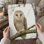 Barn Owl in Netherlands Photo Wall Art (7 Sizes) - Satin Luster