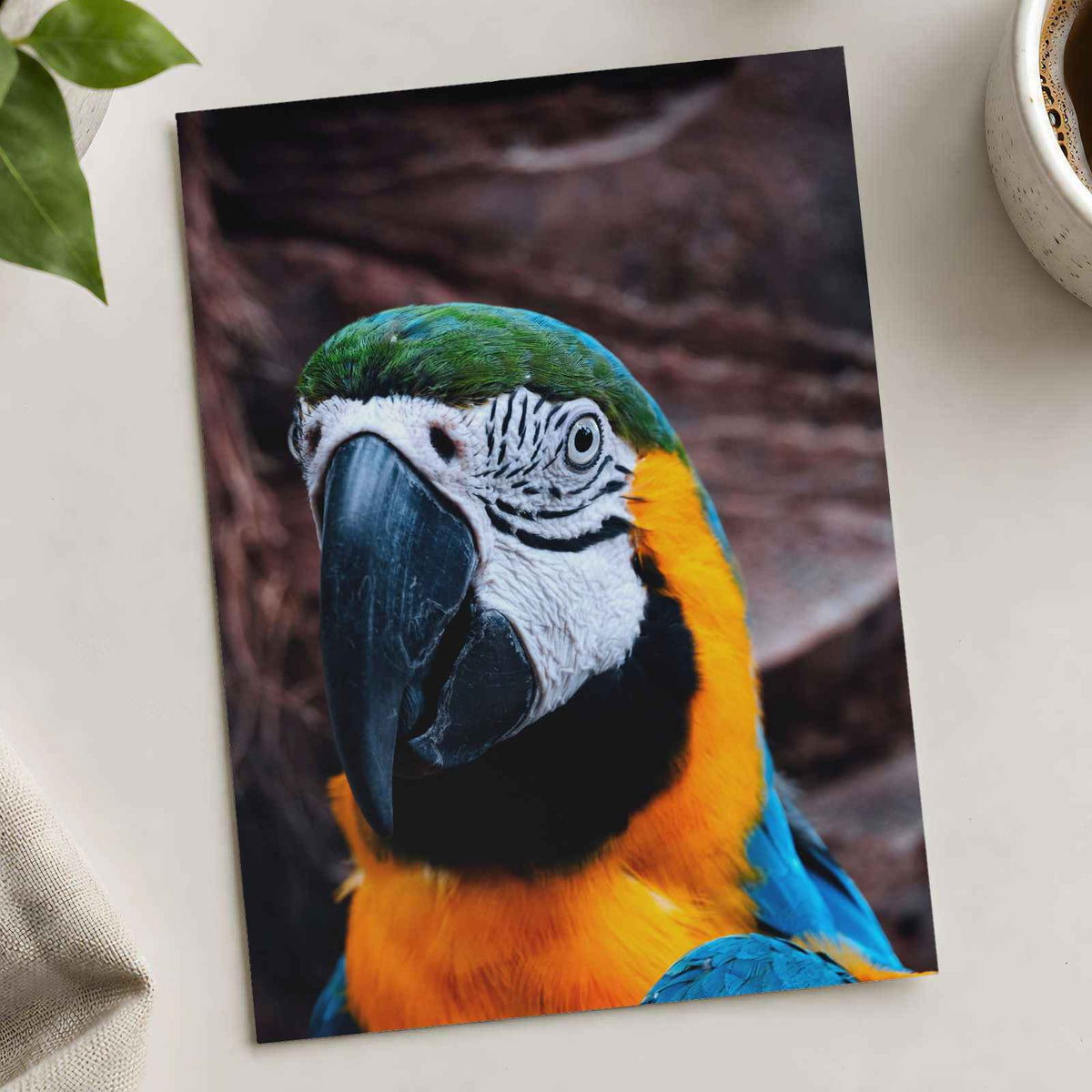 Blue and Yellow Parrot Sitting on Top of Tree Photography Print (7 Sizes)