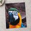 Blue and Yellow Parrot Sitting on Top of Tree Photography Print (7 Sizes)