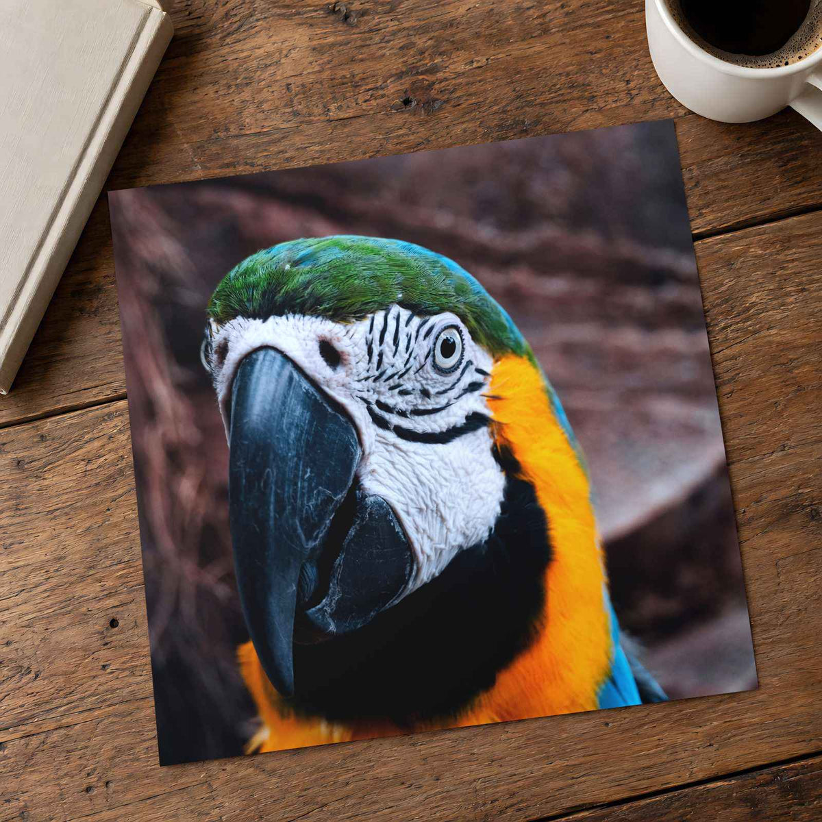 Blue and Yellow Parrot Sitting on Top of Tree Photography Print (7 Sizes)