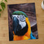 Blue and Yellow Parrot Sitting on Top of Tree by George Dagerotip Photo Print Wall Decor