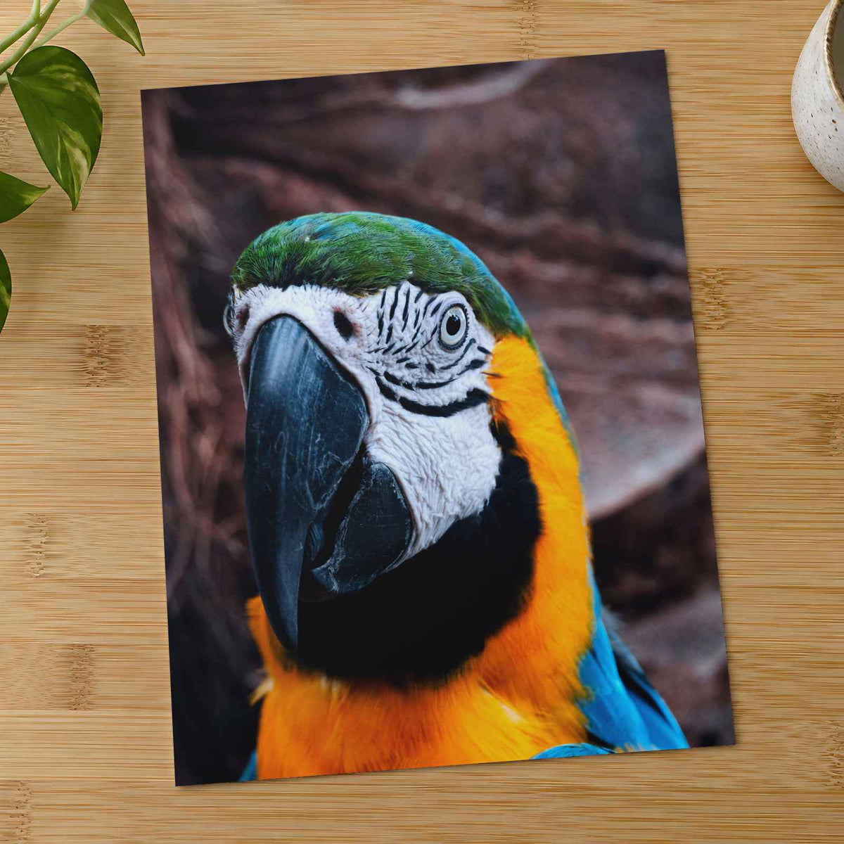 Blue and Yellow Parrot Sitting on Top of Tree by George Dagerotip Photo Print Wall Decor