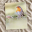 Robin Standing on Top of Grass Covered Field Photography Print (7 Sizes)