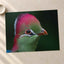 Close-up of Green Bird with Red Crest Photo Wall Art (7 Sizes) - Frameable