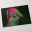 Close-up of Green Bird with Red Crest Photo Wall Art (7 Sizes) - Frameable