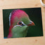 Close-up of Green Bird with Red Crest Photo Wall Art (7 Sizes) - Frameable