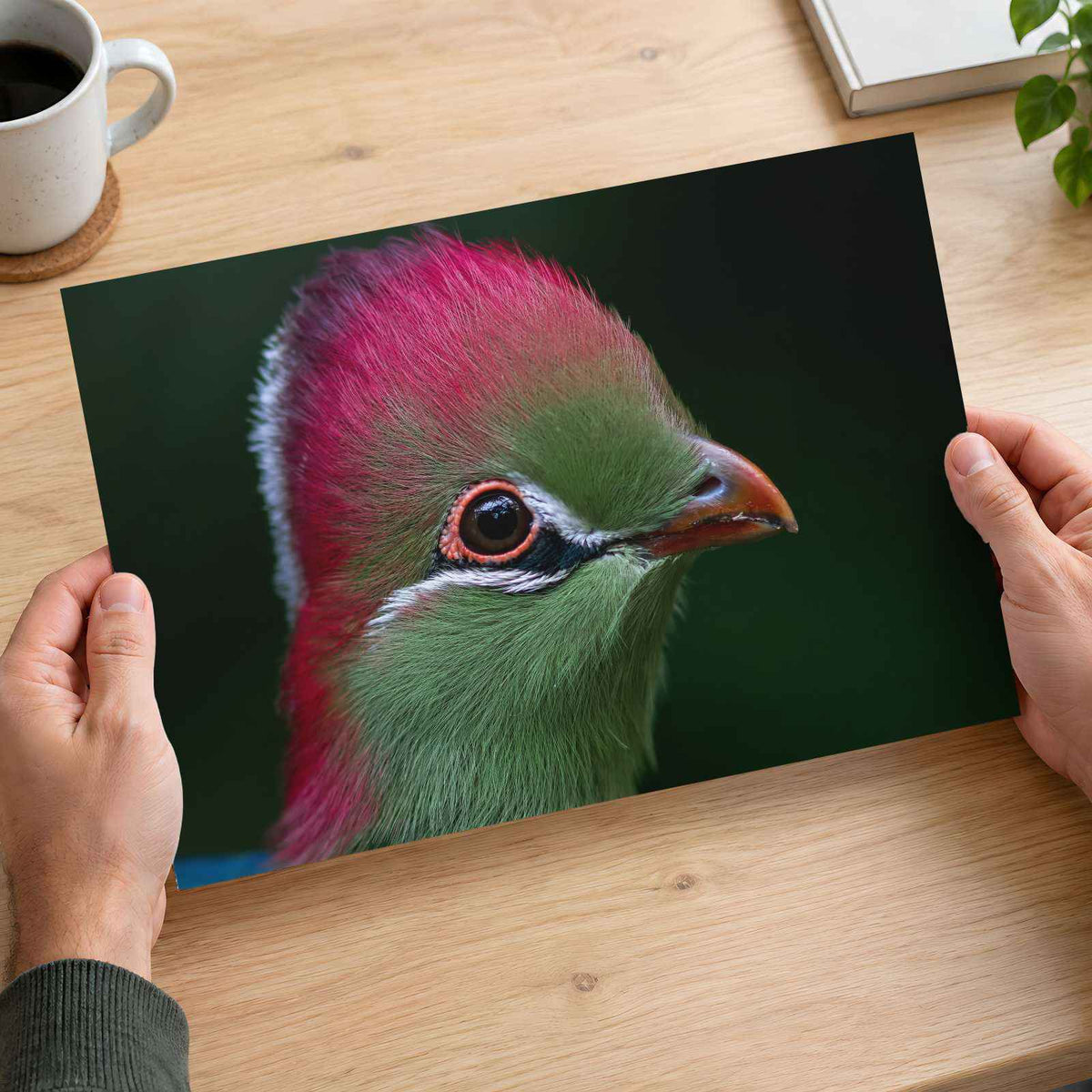 Close-up of Green Bird with Red Crest Photo Wall Art (7 Sizes) - Frameable