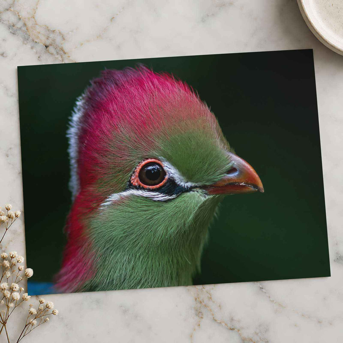 Close-up of Green Bird with Red Crest by Zdeněk Macháček Photo Print Wall Decor