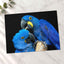 Two Blue Parrots Sitting on Tree Branch Photo Wall Art (7 Sizes) - Shipped Flat