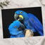 Two Blue Parrots Sitting on Tree Branch Photo Wall Art (7 Sizes) - Shipped Flat