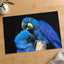 Two Blue Parrots Sitting on Tree Branch Photo Wall Art (7 Sizes) - Shipped Flat