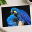 Two Blue Parrots Sitting on Tree Branch Photo Wall Art (7 Sizes) - Shipped Flat