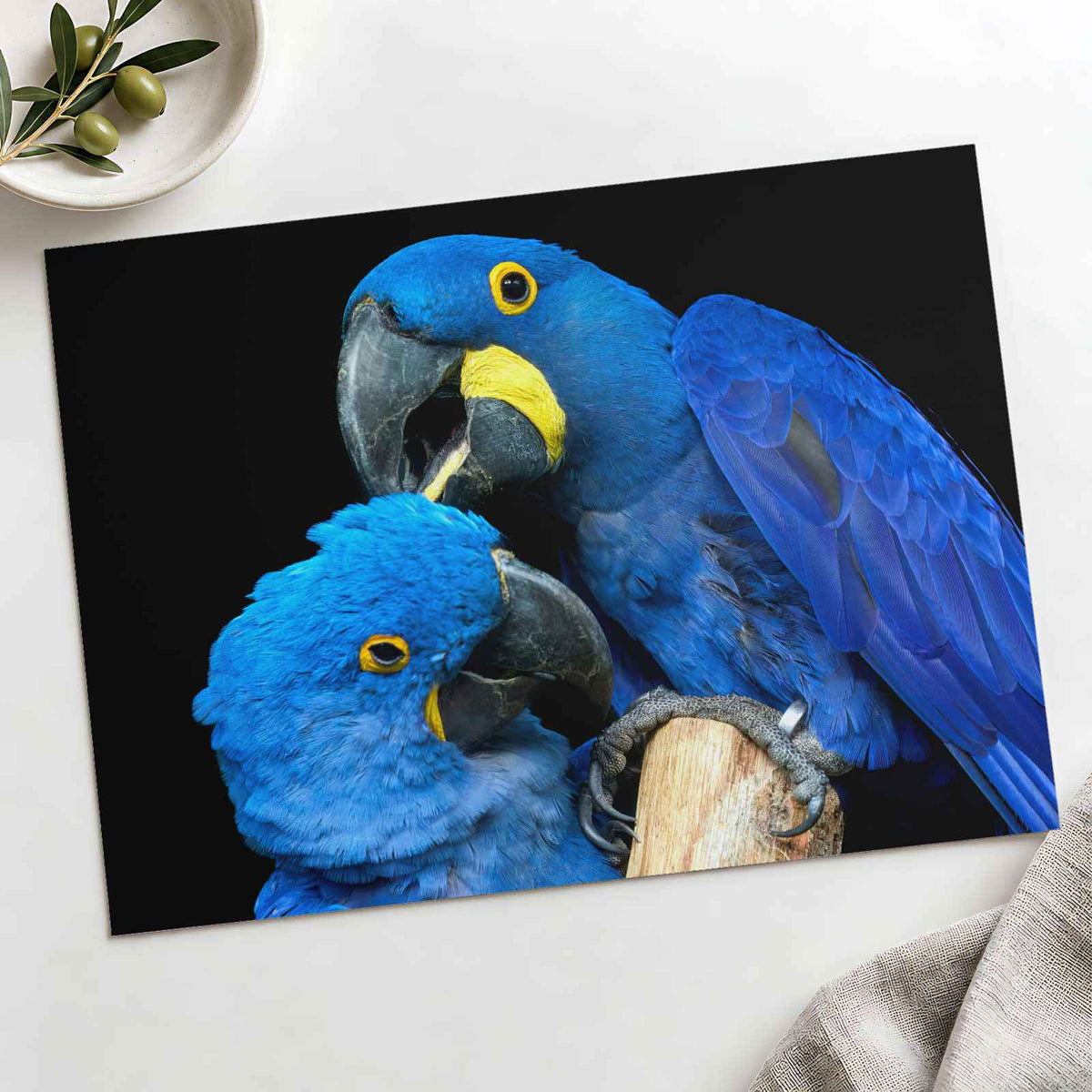Two Blue Parrots Sitting on Tree Branch Photo Wall Art (7 Sizes) - Shipped Flat