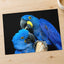 Two Blue Parrots Sitting on Tree Branch Photo Wall Art (7 Sizes) - Shipped Flat