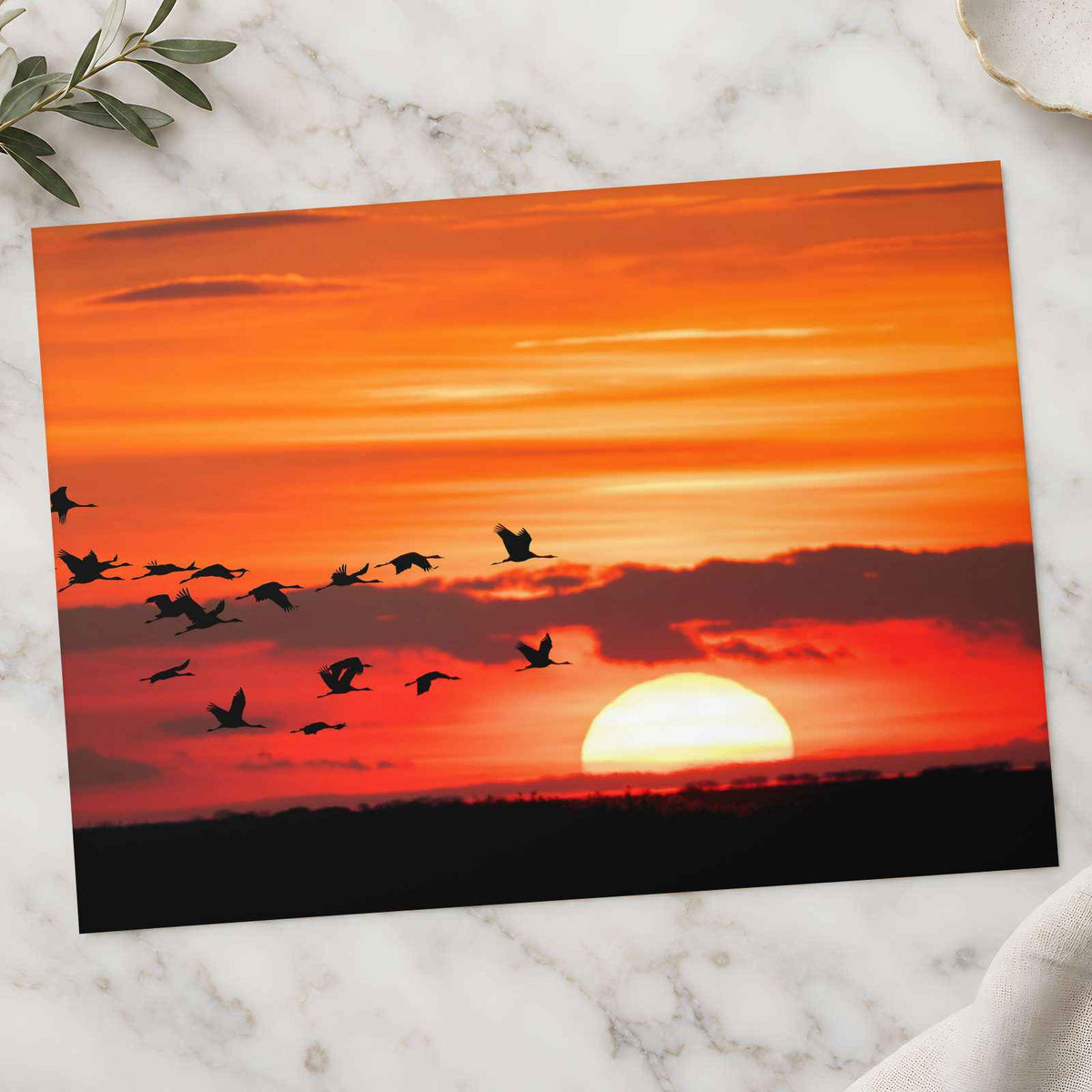 Flock of Birds Flying Over a Sunset Photo Wall Art (7 Sizes) - Satin Luster
