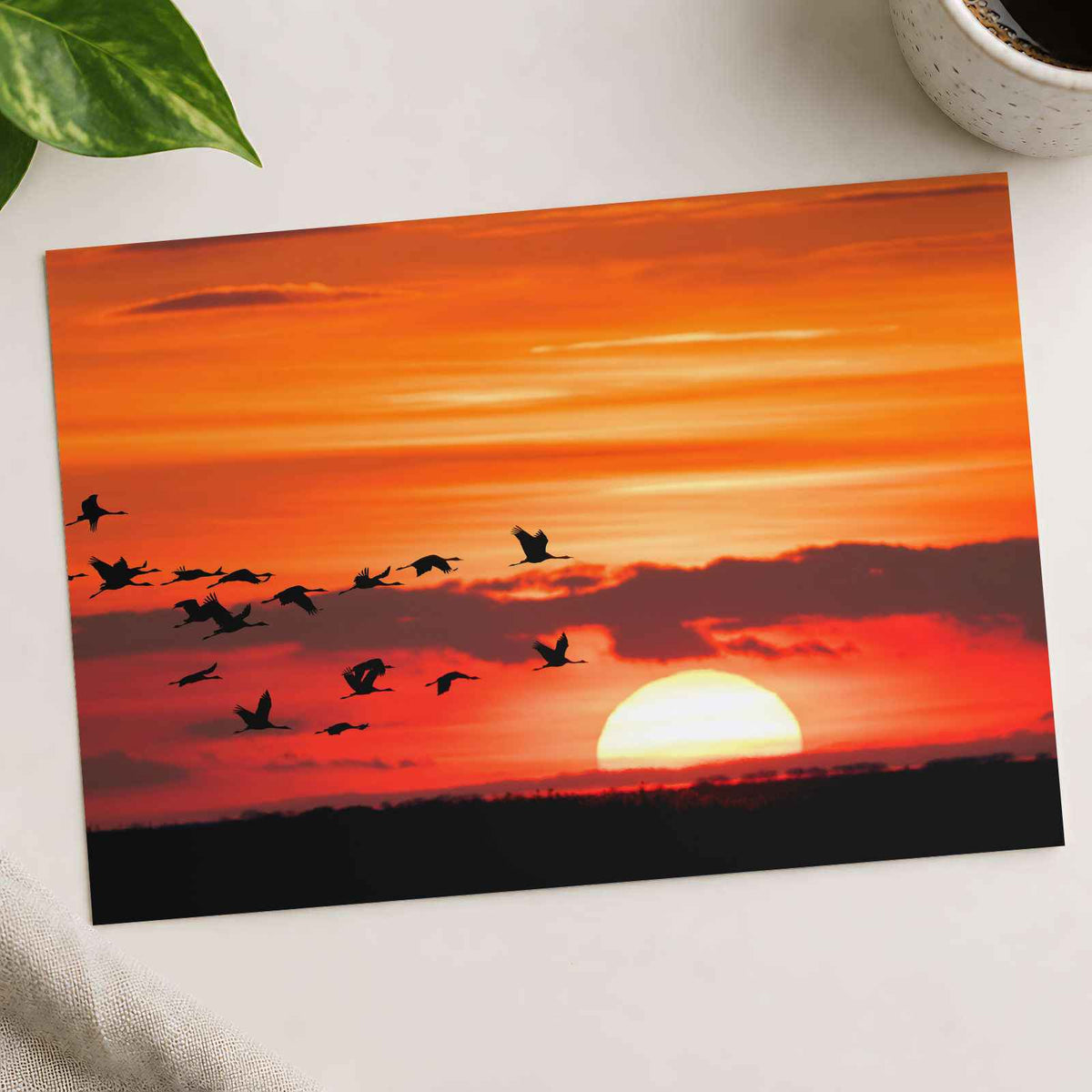 Flock of Birds Flying Over a Sunset Photo Wall Art (7 Sizes) - Satin Luster
