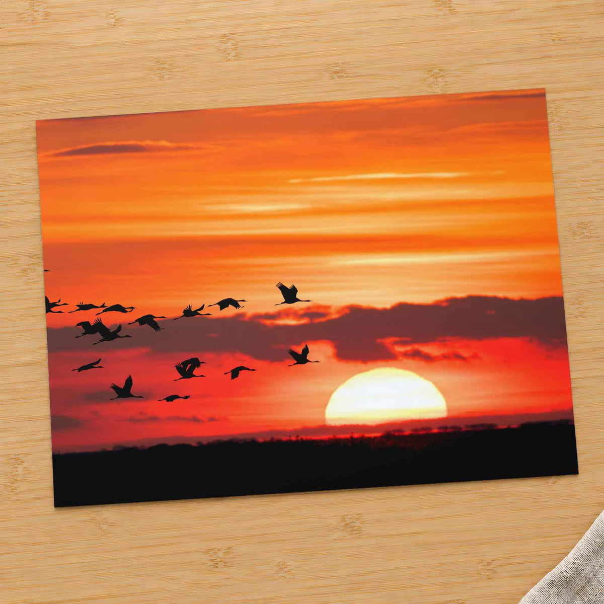 Flock of Birds Flying Over a Sunset Photo Wall Art (7 Sizes) - Satin Luster