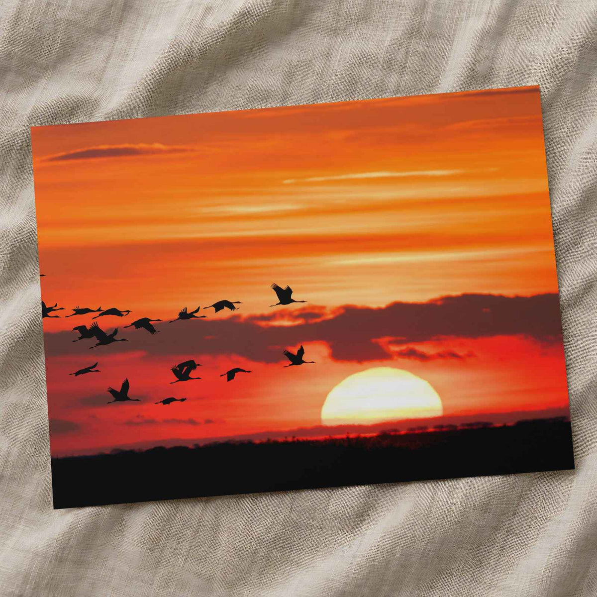Flock of Birds Flying Over a Sunset by Zdeněk Macháček Photo Print Wall Decor