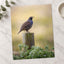 California Quail Sitting on Wooden Post Photography Print (7 Sizes) - Frameable