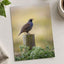 California Quail Sitting on Wooden Post Photography Print (7 Sizes) - Frameable