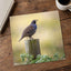 California Quail Sitting on Wooden Post Photography Print (7 Sizes) - Frameable