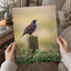 California Quail Sitting on Wooden Post Photography Print (7 Sizes) - Frameable