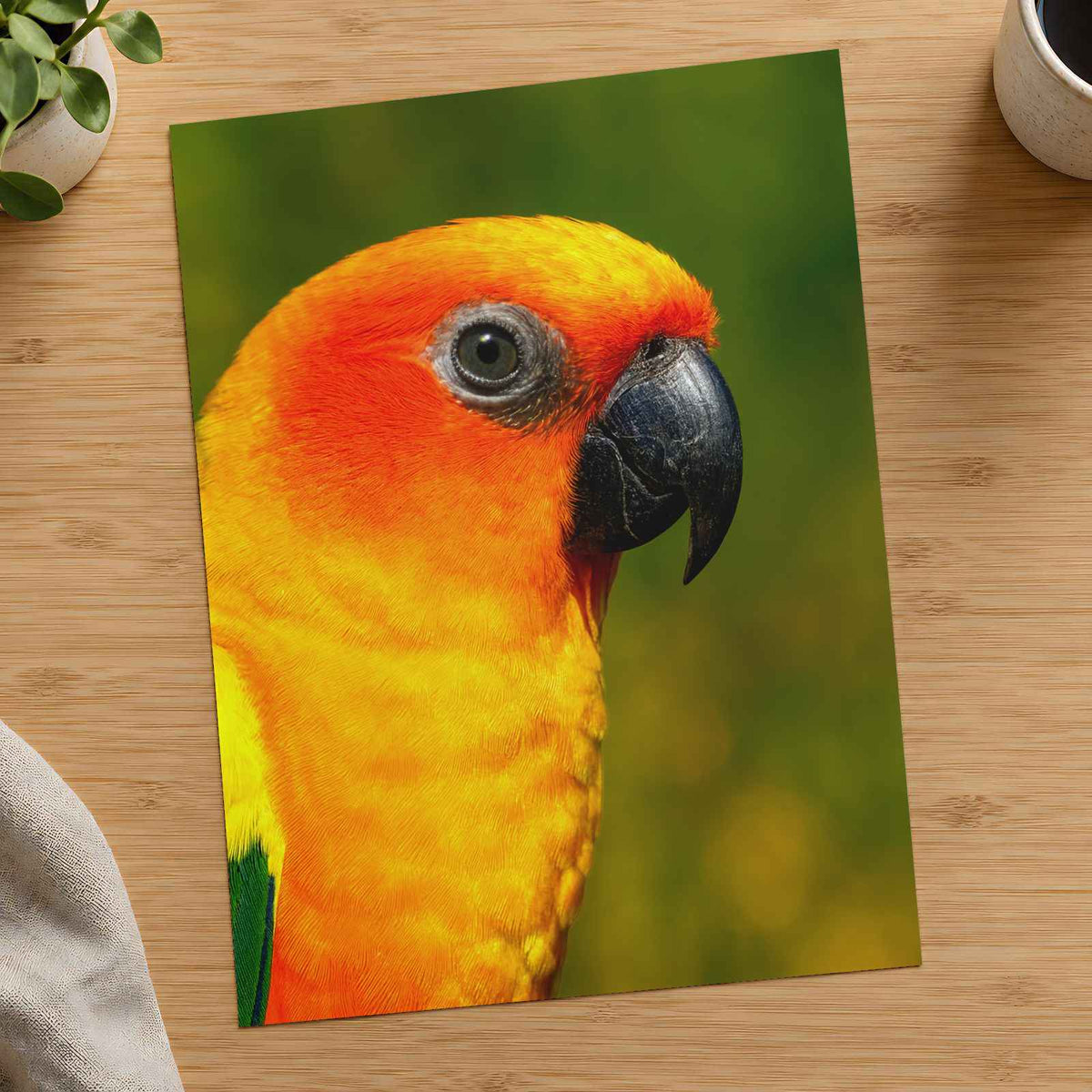 Close-Up of Colorful Sun Conure Parrot Photo Print (7 Sizes) - Crisp Detail