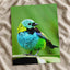 Small Colorful Bird Perched on Leaf Photo Wall Print (7 Sizes) - Printed in USA