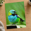 Small Colorful Bird Perched on Leaf Photo Wall Print (7 Sizes) - Printed in USA