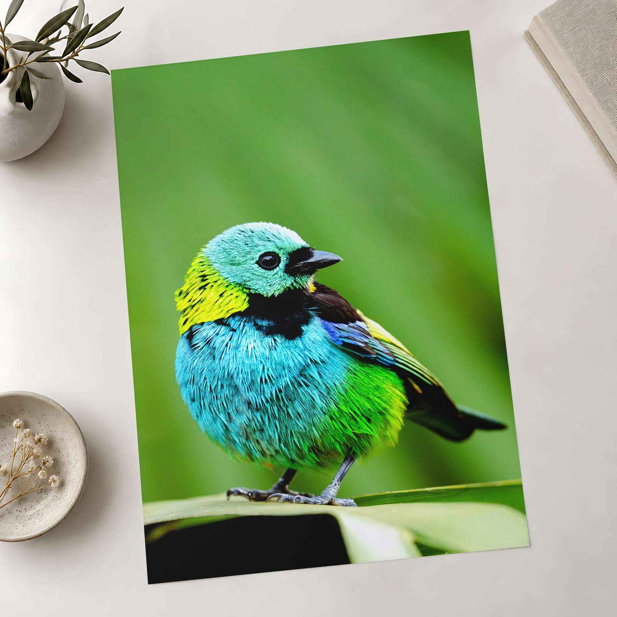 Small Colorful Bird Perched on Leaf Photo Wall Print (7 Sizes) - Printed in USA