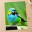 Small Colorful Bird Perched on Leaf Photo Wall Print (7 Sizes) - Printed in USA