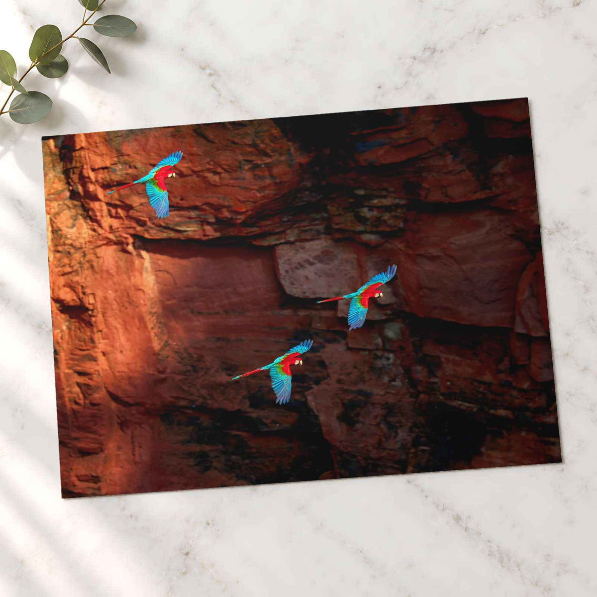 Three Macaws Fly Near a Rocky Cliff Face Photo Wall Print (7 Sizes) - Frameable