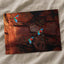 Three Macaws Fly Near a Rocky Cliff Face Photo Wall Print (7 Sizes) - Frameable