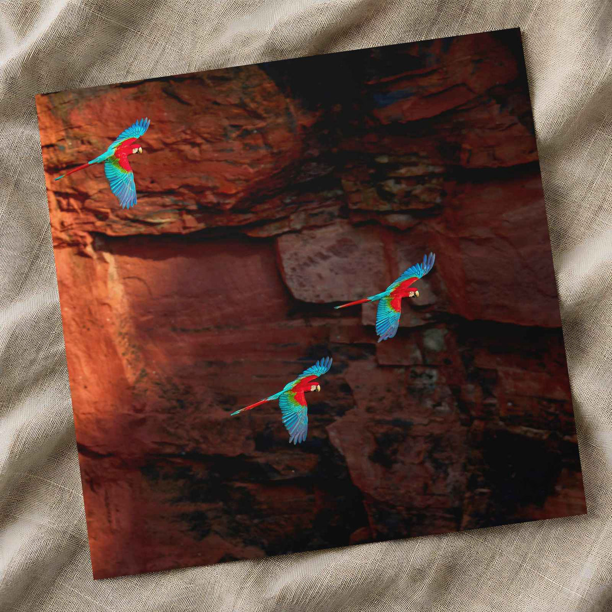 Three Macaws Fly Near a Rocky Cliff Face Photo Wall Print (7 Sizes) - Frameable