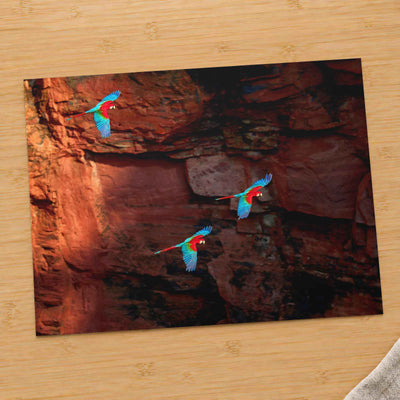 Three Macaws Fly Near a Rocky Cliff Face by Zdeněk Macháček Photo Print Wall Decor