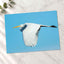 Great Egret Flying in Everglades Florida Photo Print (5 Sizes) - Shipped Flat