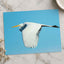 Great Egret Flying in Everglades Florida Photo Print (5 Sizes) - Shipped Flat