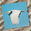 Great Egret Flying in Everglades Florida Photo Print (5 Sizes) - Shipped Flat
