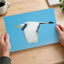 Great Egret Flying in Everglades Florida Photo Print (5 Sizes) - Shipped Flat