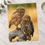 Two Owls are Perched on Tree Branch Hortobágy Photography Print (7 Sizes)