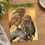Two Owls are Perched on Tree Branch Hortobágy Photography Print (7 Sizes)
