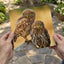 Two Owls are Perched on Tree Branch Hortobágy Photography Print (7 Sizes)