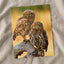 Two Owls are Perched on Tree Branch by Zdeněk Macháček Photo Print Wall Decor