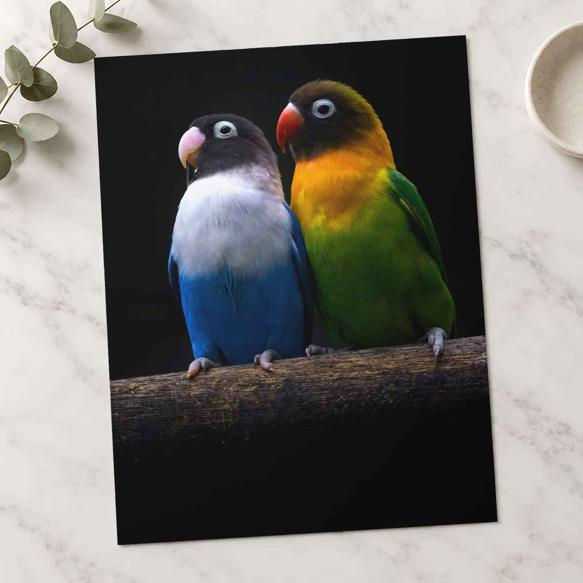 Two Parakeet Birds Sitting on Tree Branch Photo Wall Print (6 Sizes) - Frameable