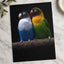 Two Parakeet Birds Sitting on Tree Branch Photo Wall Print (6 Sizes) - Frameable