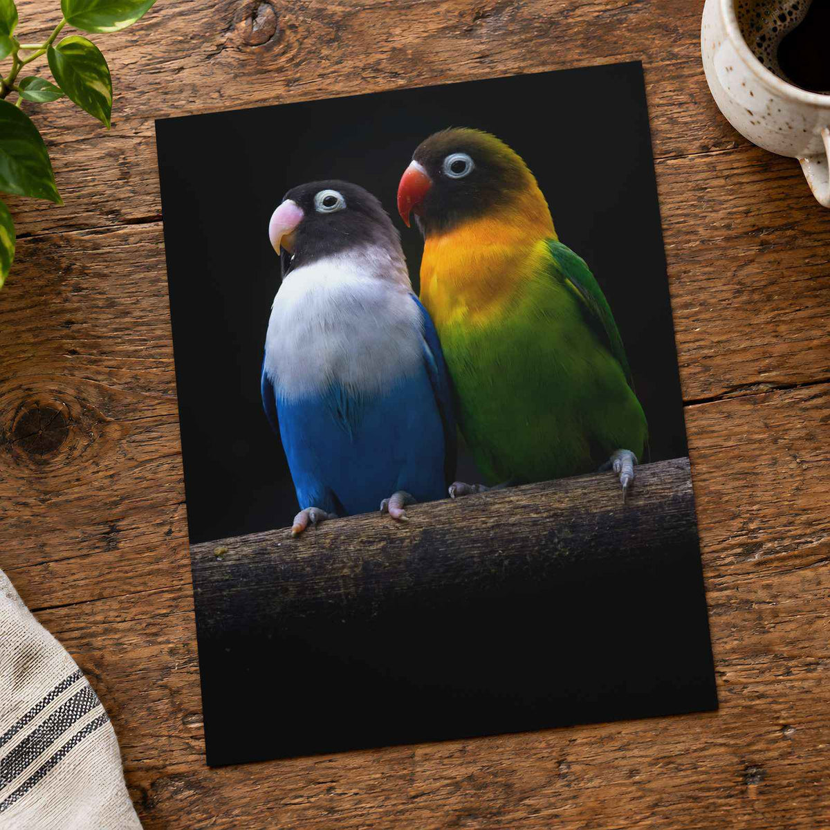 Two Parakeet Birds Sitting on Tree Branch Photo Wall Print (6 Sizes) - Frameable